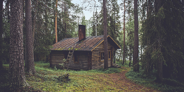 A rustic, old log cabin in the woods, with a wooden ladder leaning on one side adjacent a rock chimney.
